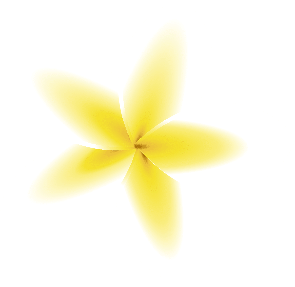 Flowers.png